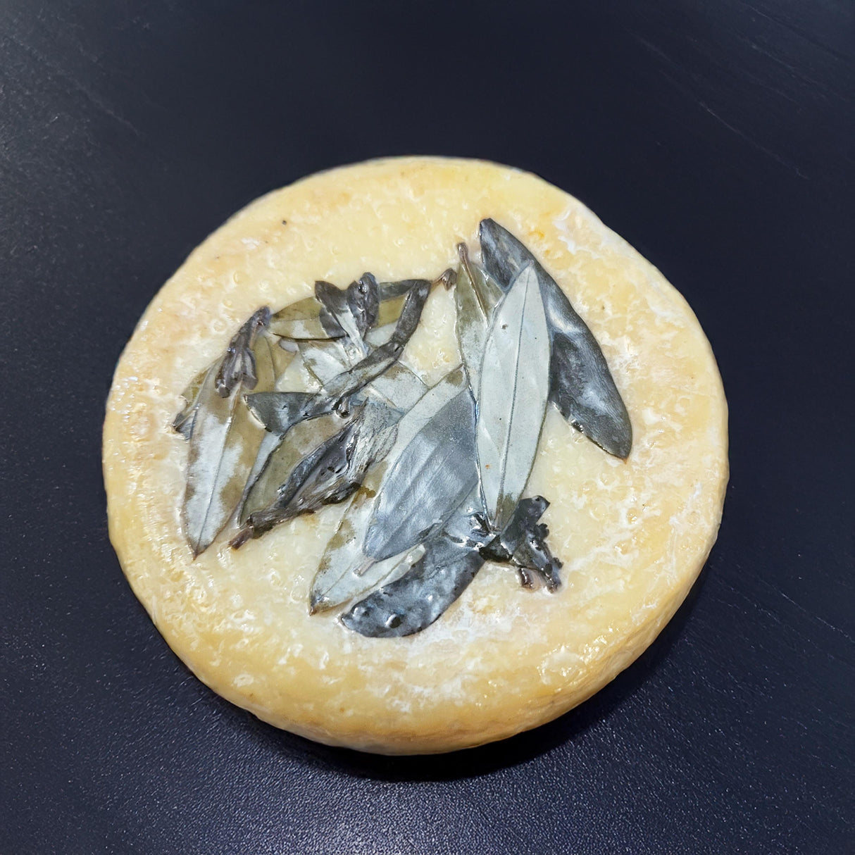 Antiche Armonie alle Foglie di Ulivo