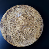Pecorino assaisonné à la truffe