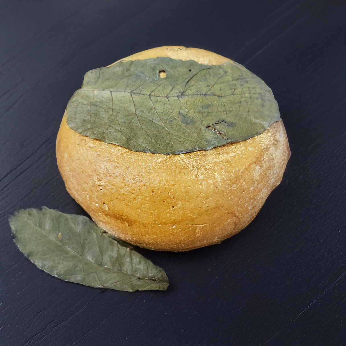 Pecorino assaisonné aux feuilles de noyer